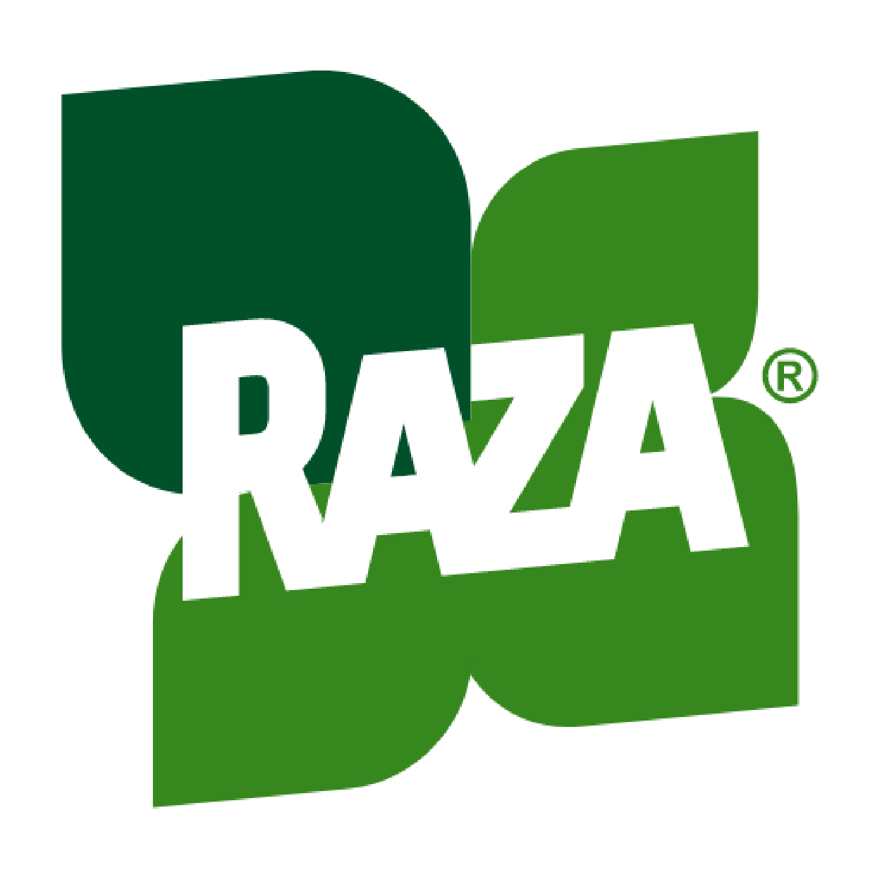 LOGO_Mesa de trabajo 1 copia